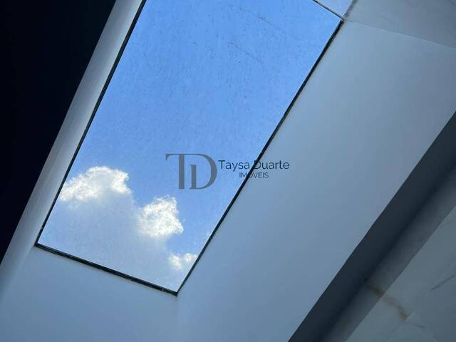 claraboia morada dos passaros