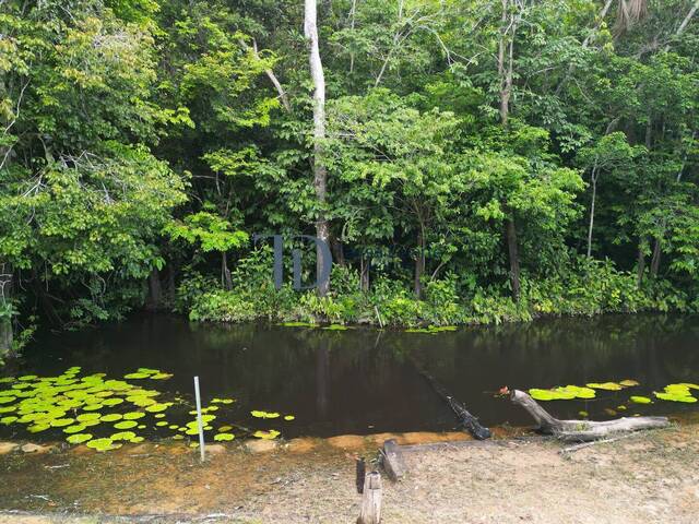 #11 - Sítio para Venda em Iranduba - AM