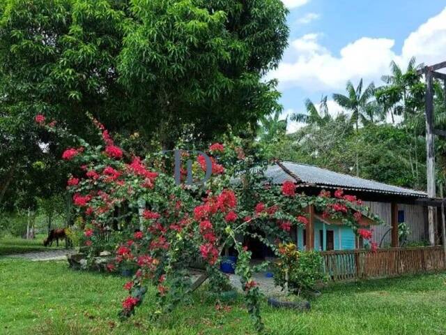 #74 - Sítio para Venda em Presidente Figueiredo - AM